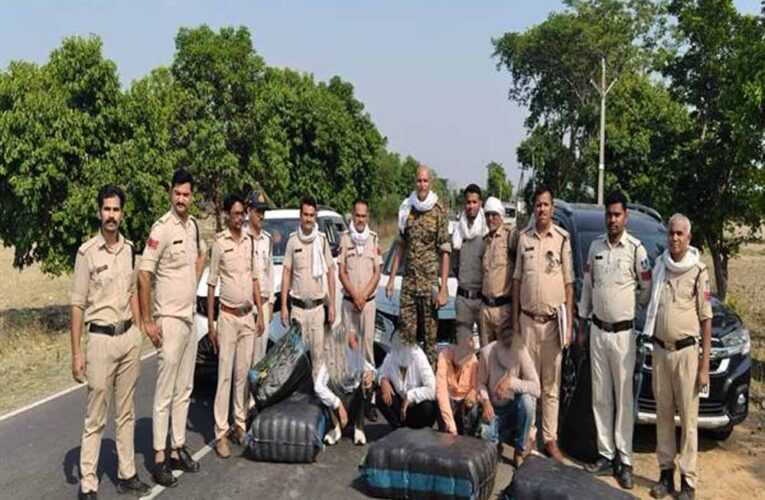 मध्यप्रदेश पुलिस की नशे के विरुद्ध प्रभावी कार्यवाही