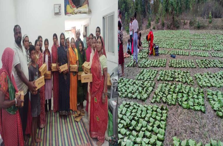 तेन्दूपत्ता से बदली जिंदगी, बढ़ी आय और सम्मान बढ़ी आय और सम्मान