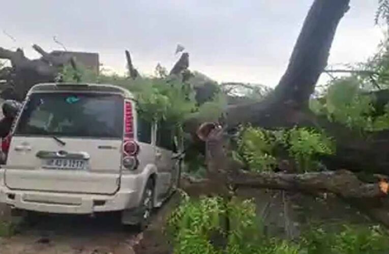 यूपी के कई जिलों में आंधी-बारिश का कहर, 52 लोगों की दर्दनाक मौत