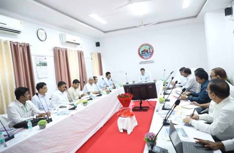 केन्द्रीय ऊर्जा सचिव  अग्रवाल ने की आरडीएसएस कार्यों की समीक्षा