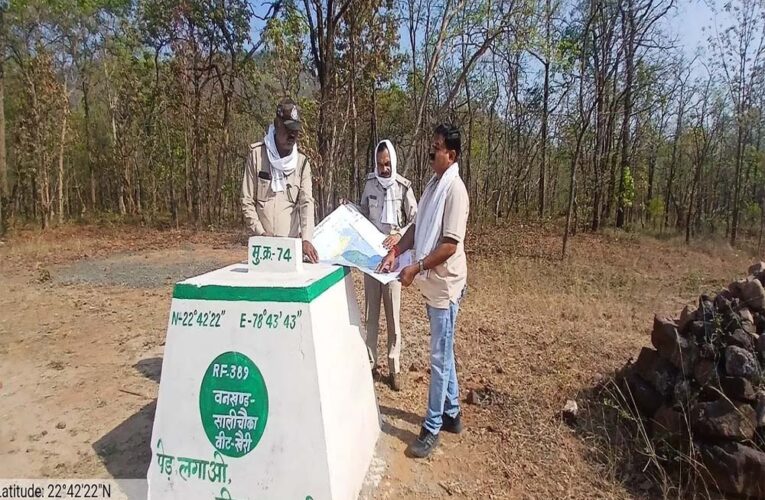 वन भूमि पर सख्ती: सीमांकन में उजागर हुआ अतिक्रमण का खेल