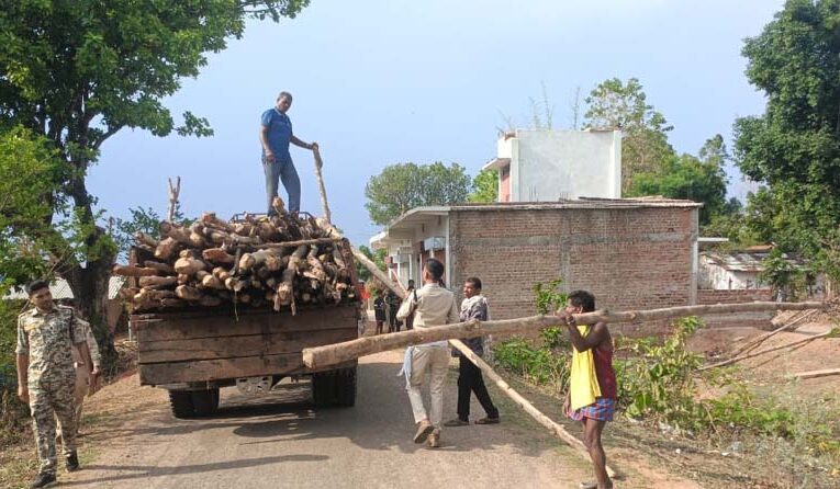 गौरेला क्षेत्र में सागौन की अवैध कटाई पर वन विभाग की बड़ी कार्रवाई