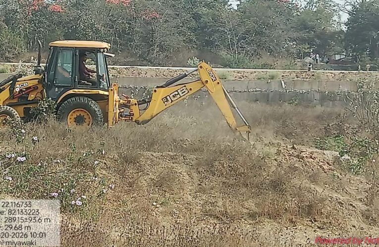 बिलासपुर की लाइफलाइन अरपा के तट पर उगेगा मियावाकी जंगल