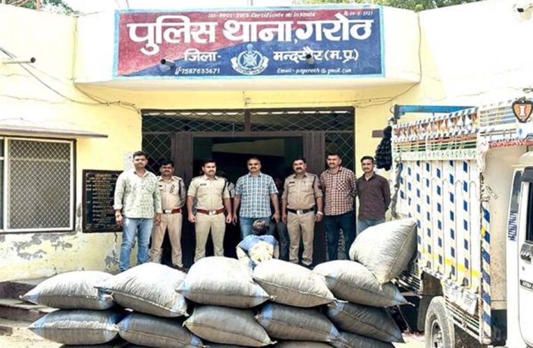 मध्यप्रदेश पुलिस की अवैध मादक पदार्थों के विरुद्ध प्रभावी कार्यवाही