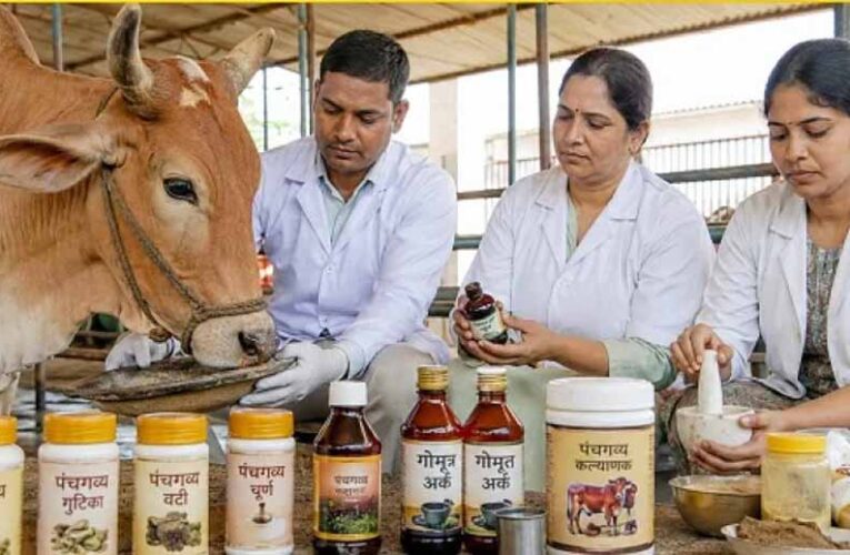 गो संरक्षण विशेष : यूपी की पंचगव्य थेरेपी देगी भारतीय चिकित्सा पद्धति को नई दिशा