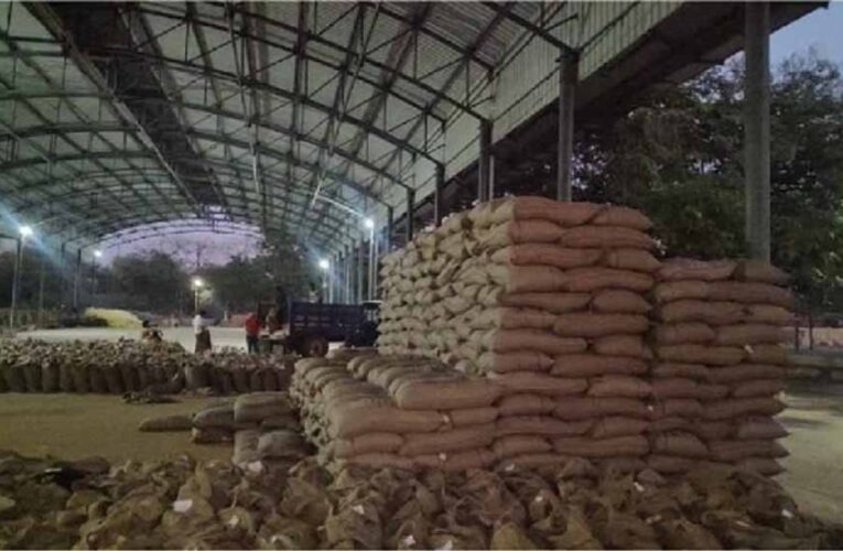 MP में रिकॉर्ड गेहूं खरीदी! 13.36 लाख किसानों से 103 लाख मीट्रिक टन उपार्जन