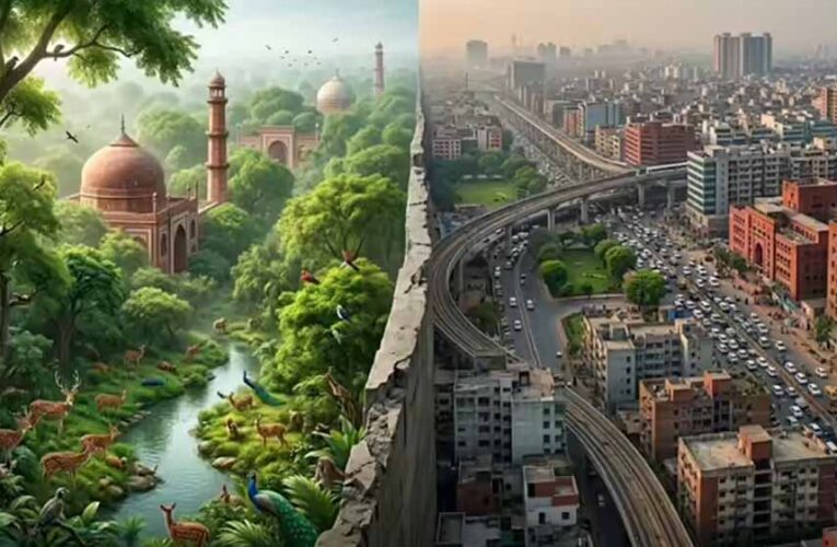 32 साल में सेंट्रल दिल्ली ने खोया 74 प्रतिशत बेहतर पर्यावरणीय क्षेत्र