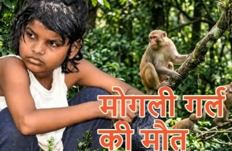 बंदरों के बीच मिली बच्ची की दर्दनाक कहानी का अंत, नहीं रहीं एहसास