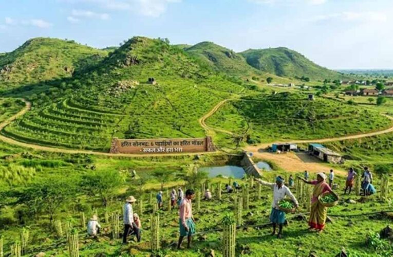 सोनभद्र की छह पहाड़ियों पर ट्रेंच तकनीक से बड़े पैमाने पर पौधारोपण की तैयारी