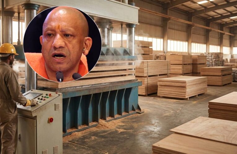योगी सरकार प्लाईवुड उद्योग के लिए नई एग्रोफॉरेस्ट्री नीति पर कर रही विचार