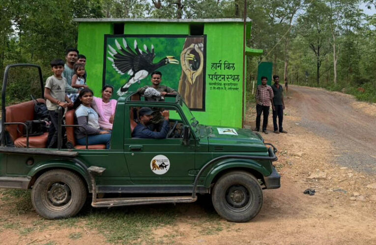 वन मंत्री केदार कश्यप की पहल से उदंती-सीतानदी टाइगर रिजर्व में शुरू होगी हॉर्नबिल सफारी