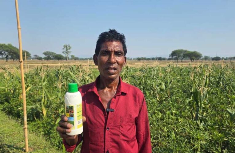 नैनो यूरिया के इस्तेमाल से किसान परशुराम राजवाड़े को खेती में मिला फायदा