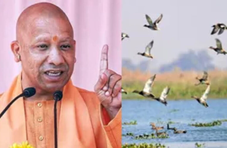 योगी सरकार के प्रयासों से उत्तर प्रदेश में तेजी से हो रहा आर्द्रभूमियों का संरक्षण