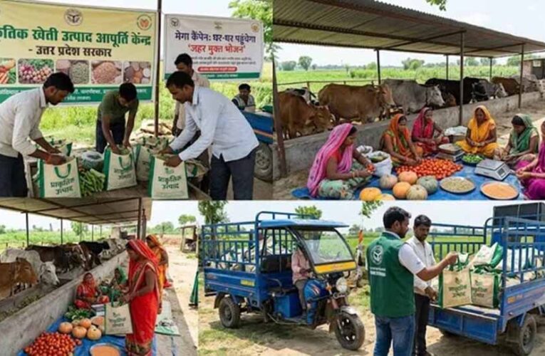 यूपी में ‘जहर मुक्त भोजन’ अभियान की तैयारी, गोशालाएं बनेंगी सप्लाई सेंटर
