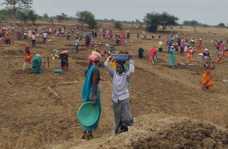 महात्मा गांधी नरेगा से जल संरक्षण का महाअभियान, रोजगार और आजीविका को मिली नई ताकत