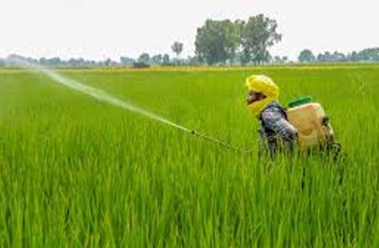 राजस्थान में चौंकाने वाले आंकड़े: कीटनाशक संपर्क से 2 साल में 535 किसानों की मौत