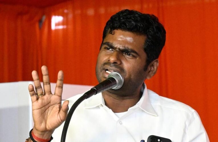 अन्नामलाई का बड़ा ऐलान: तमिलनाडु में बनाएंगे नई पार्टी, बोले- ‘BJP या तमिलियन, इसी दुविधा में था’