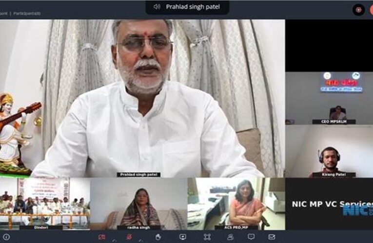 गोंड चित्रकला को ई-कॉमर्स प्लेटफॉर्म से मिलेगा वैश्विक मंच : मंत्री पटेल