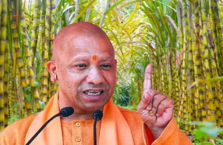 यूपी के गन्ना किसानों को 3.22 लाख करोड़ का रिकॉर्ड भुगतान, बदली खेती की तस्वीर