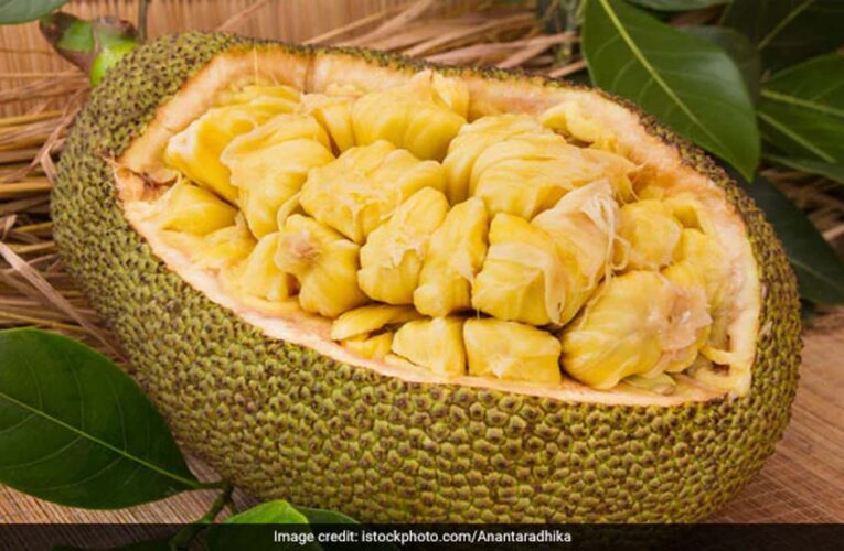 कटहल के बीज नहीं फेंके! सेहत और स्वाद का पावरहाउस हैं ये