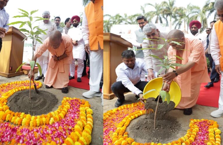 सीएम योगी ने अपने आवास पर लगाया एक पेड़ मां के नाम