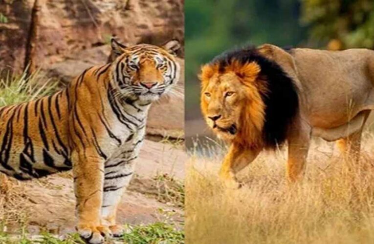 उदयपुर के जयसमंद क्षेत्र में ऐतिहासिक वन्यजीव क्षरण: एक अध्ययन