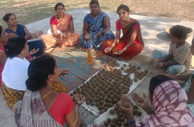 सीड बॉल बनाकर प्रकृति संरक्षण की अनूठी पहल, हरित जशपुर के निर्माण पर जोर