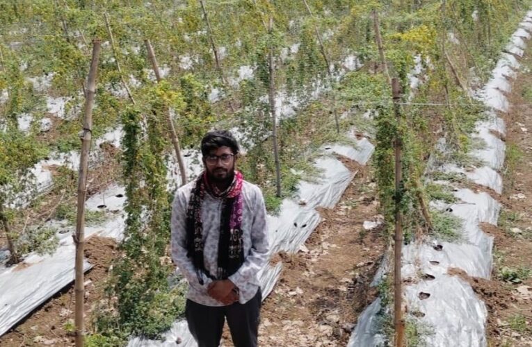 पारंपरिक खेती छोड़ करेले से बदली किस्मत, किसान दीपक ने कमाए 2.95 लाख रुपये का शुद्ध मुनाफा