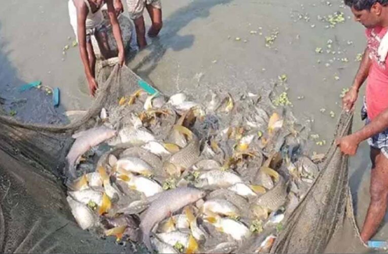 15 अगस्त तक मछली पकड़ने पर प्रतिबंध, प्रजनन काल में संरक्षण पर जोर