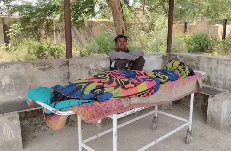 धमतरी में मधुमक्खियों का कहर, हमले में सास की मौत; दामाद की हालत गंभीर