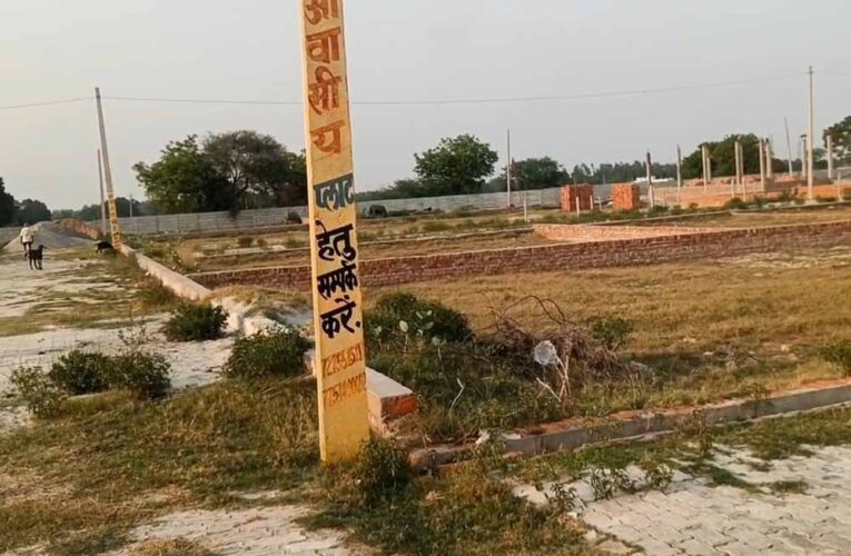 दुर्ग नगर निगम का एक्शन, बिजली खंभों और सार्वजनिक संपत्तियों पर अवैध होर्डिंग्स लगाने वालों को नोटिस