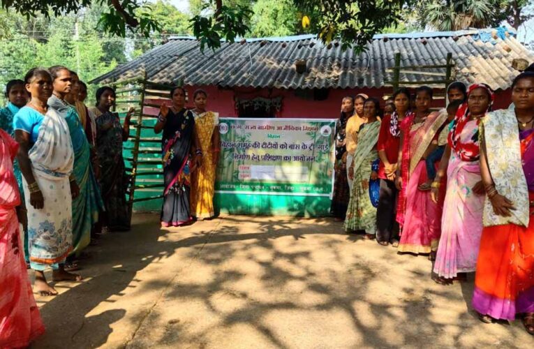 बांस के ट्री गार्ड निर्माण से आत्मनिर्भर बनेंगी सुकमा की 53 दीदियां
