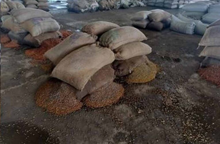 राजनांदगांव मंडी में जलभराव से हाहाकार, चबूतरों पर रखा धान भी भीगा