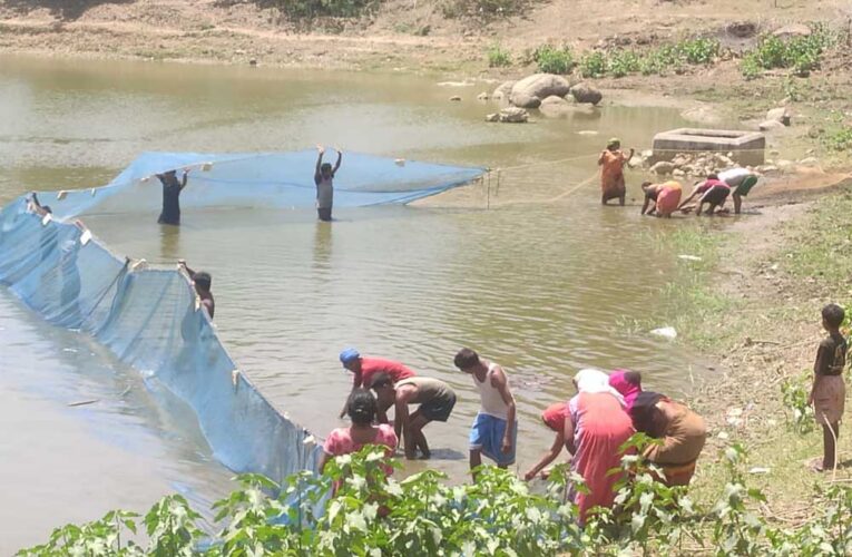 मत्स्य पालन बना ग्रामीण समृद्धि का सशक्त माध्यम