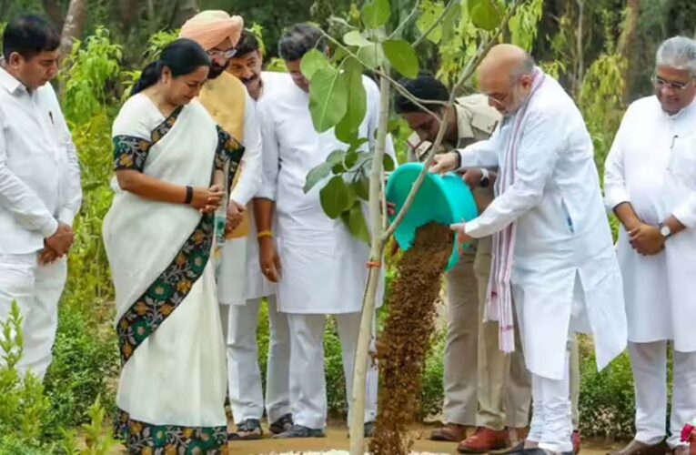 दिल्ली के रिज क्षेत्र की बदलेगी तस्वीर, 70 लाख पौधों से बनेगा राजधानी का हरित फेफड़ा