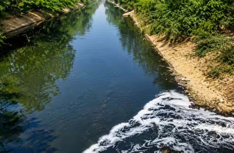 नजफगढ़ ड्रेन का गंदा पानी साफ करने को सरकार बनाएगी 29 नए डीएसटीपी प्लांट जल्द