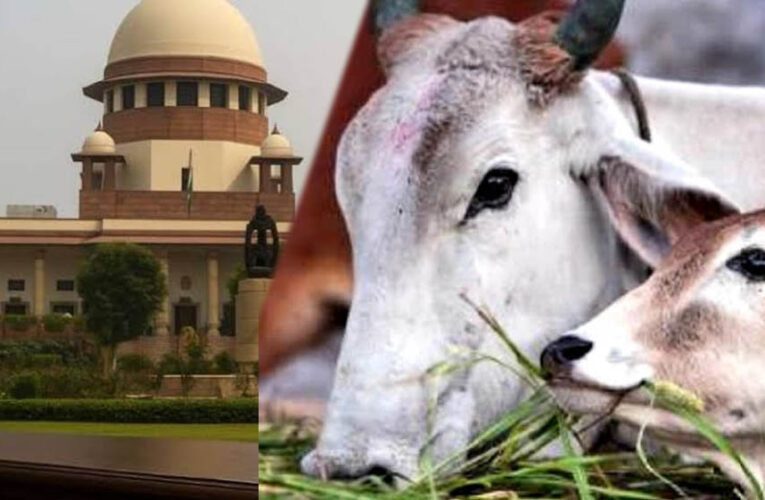 तमिलनाडु में गौहत्या मामले पर सुप्रीम कोर्ट का बड़ा फैसला, HC के आदेश पर रोक हटाई, राज्य सरकार को राहत