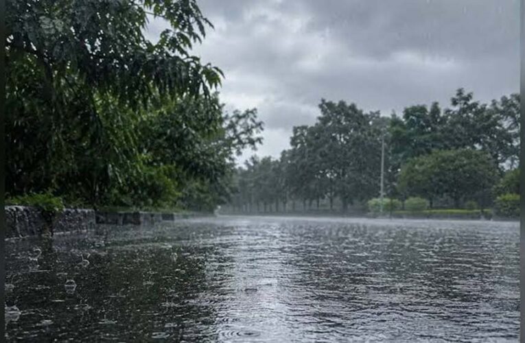 दिल्ली में हल्की बारिश के आसार, तेज हवाओं संग मौसम रहेगा सुहाना आज
