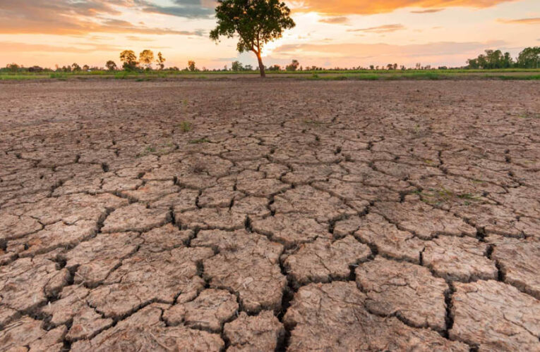 MP Weather: 33 जिलों में सामान्य से कम बारिश, किसानों की बढ़ी चिंता; फिलहाल भारी बारिश के संकेत नहीं
