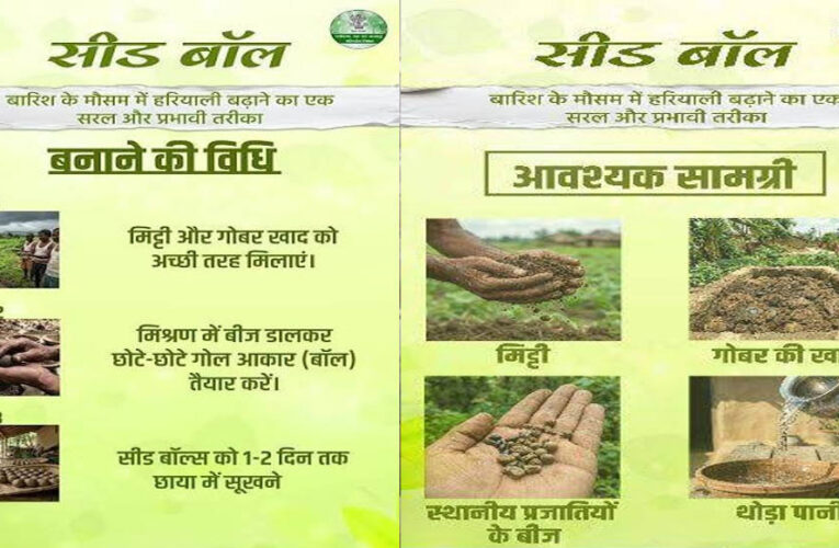 सीड बॉल अभियान- हरियाली बढ़ाने का सरल और प्रभावी माध्यम