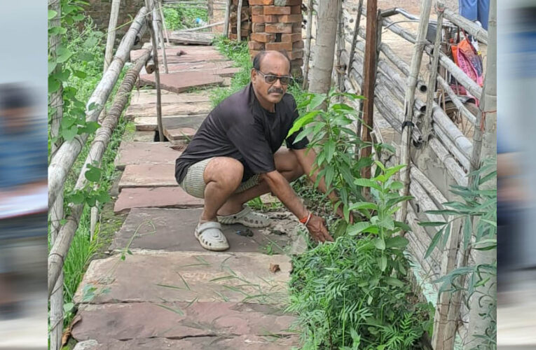 जबलपुर संभागीय महासचिव अनिल कमल तिवारी ने आम के वृक्ष कटनी में लगाए