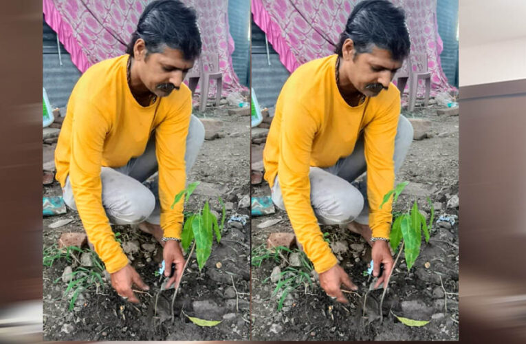 इंदौर संभागीय अध्यक्ष ओम प्रकाश ठाकुर ने आम के वृक्ष देवास में लगाए