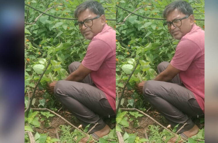 जबलपुर पूर्व प्रदेश अध्यक्ष सुनील कुमार राय ने पीपल के वृक्ष मझौली में लगाए