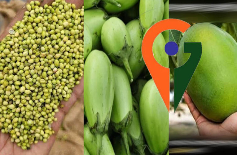 देश में पहली बार एक साथ 12 उद्यानिकी फसलों को म‍िला जी आई टैग