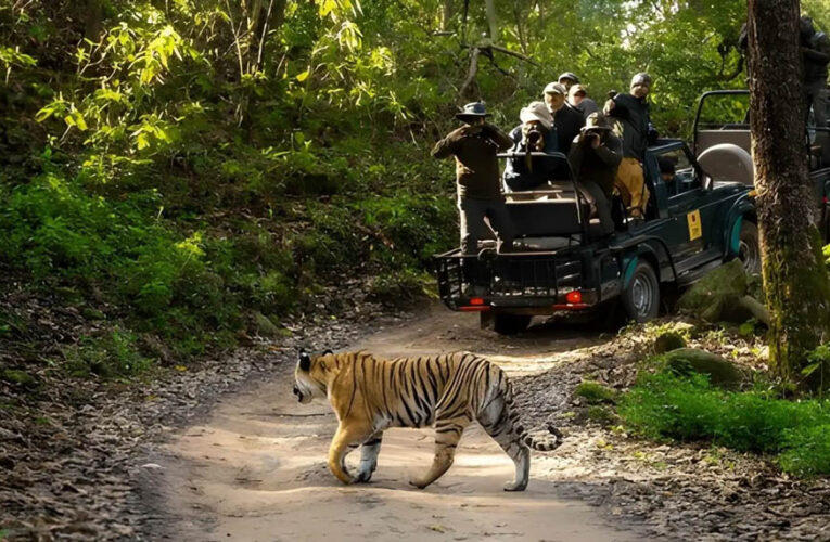वन, वन्यजीव और पर्यावरण कानूनों के प्रभावी क्रियान्वयन के लिए न्यायिक एवं प्रशासनिक समन्वय ज़रूरी