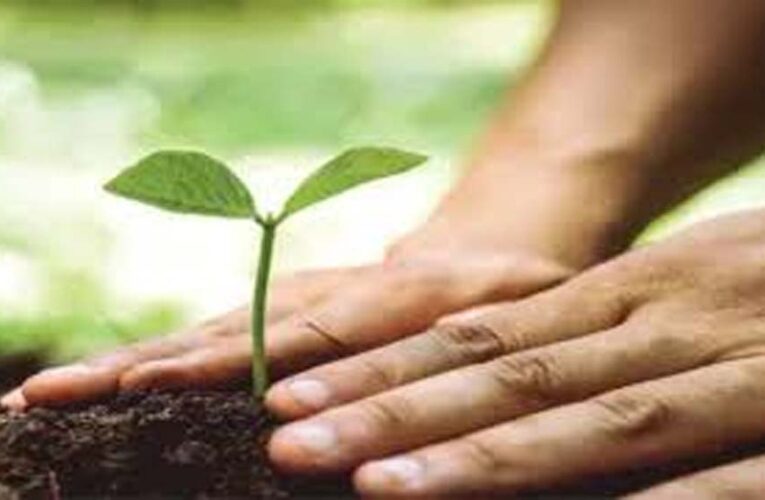 15 अगस्त पर यूपी का हरित संकल्प, हर जिले में बनेगी ‘वंदे मातरम् वाटिका’