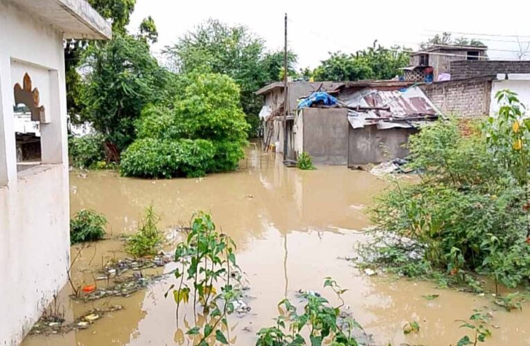 CG Flood: महानदी की बाढ़ से गांव जलमग्न, SDRF ने 6 लोगों को सुरक्षित निकाला