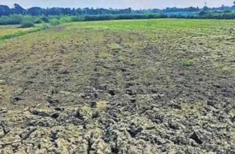 बस्तर संभाग में बारिश की बेरुखी से बढ़ी सूखे की चिंता, किसान परेशान