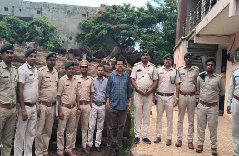 कोरबा में 206 साल के पेड़ों की लकड़ी बरामद, आरोपी गिरफ्तार, आरा मिल सील