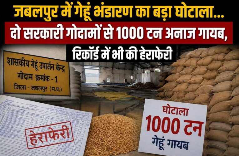 जबलपुर में गेहूं भंडारण का बड़ा घोटाला, दो सरकारी गोदामों से 1000 टन अनाज गायब
